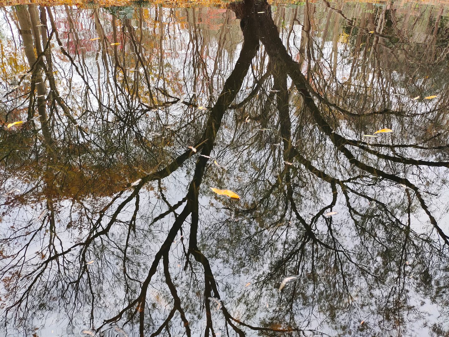 https://res.oceanpresent.art/photo/p-2023-12-16-1.jpg