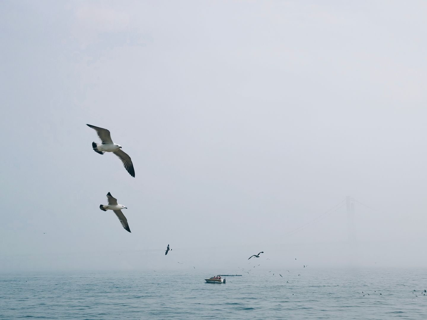 https://res.oceanpresent.art/photo/p-2024-4-28-3.jpg